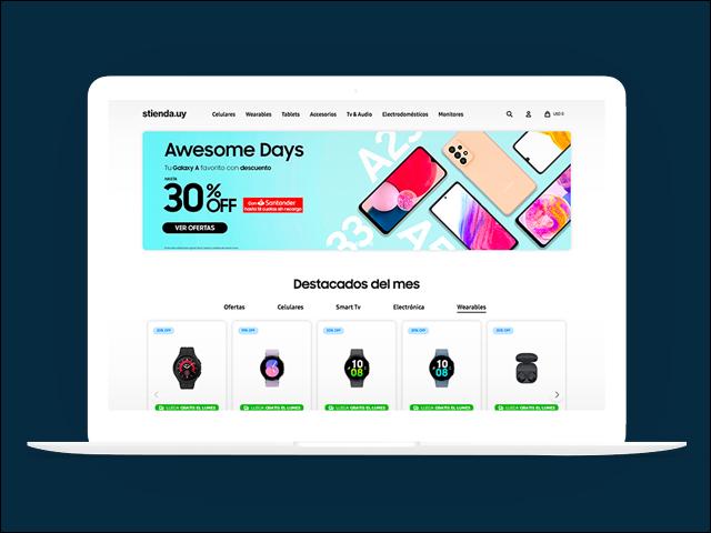 Vista del sitio de Stienda