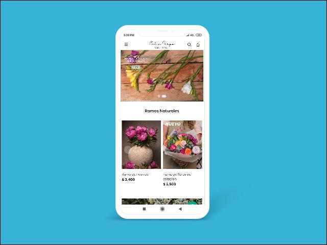 Vista del sitio de Florería Ilusiones