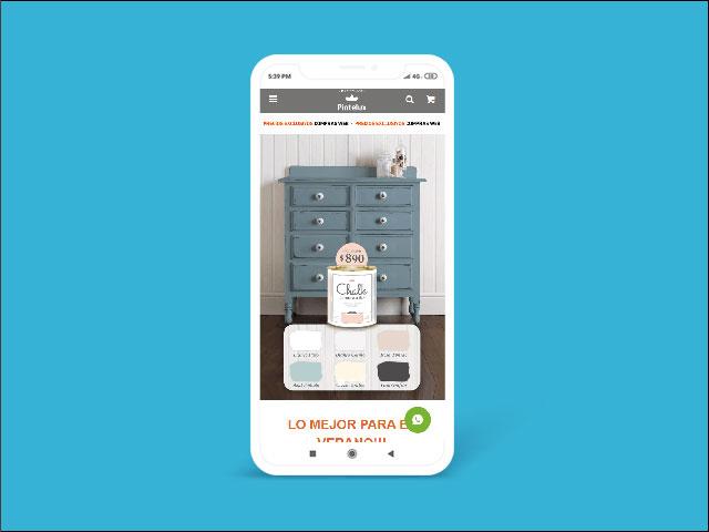 Vista del sitio de Pintelux