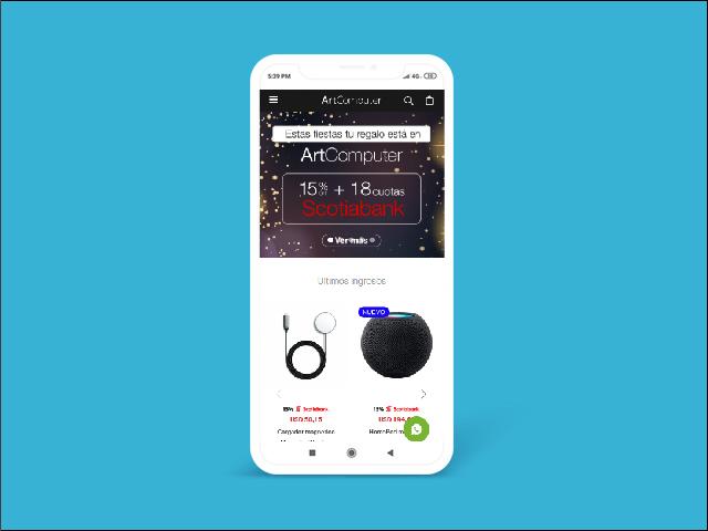 Vista del sitio de ArtComputer
