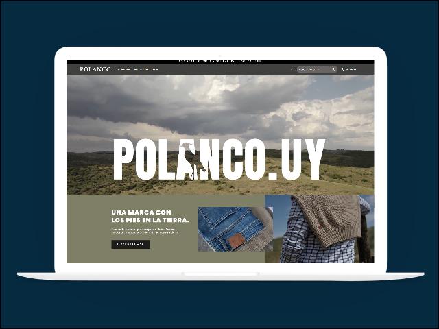 Vista del sitio de Polanco