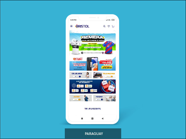 Vista del sitio de Bristol PY