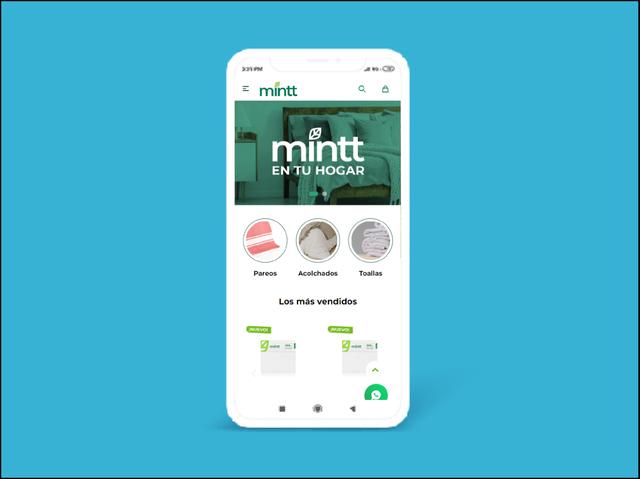 Vista del sitio de MINTT